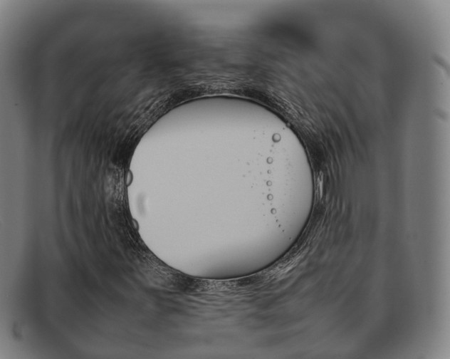 X0000092071251200709121019