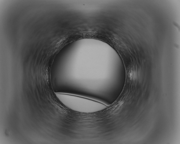 X0000092071252200709121019