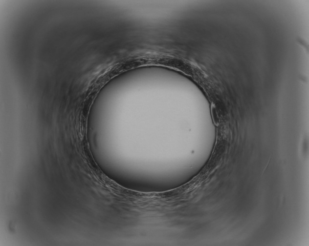 X0000092071253200709121019