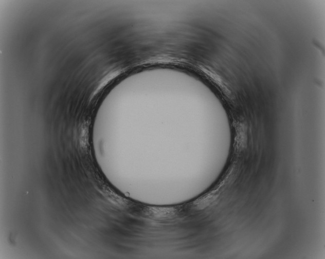 X0000092071258200709121019