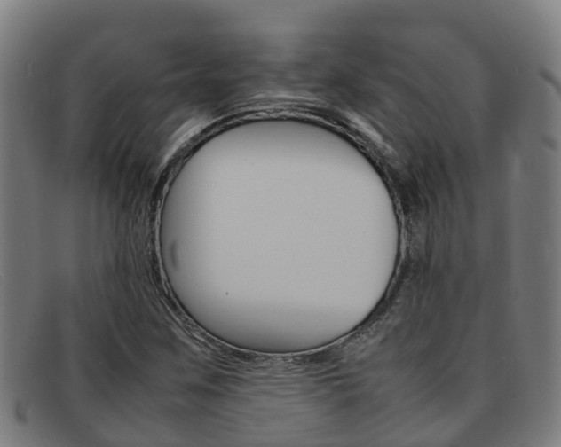 X0000092071259200709121019