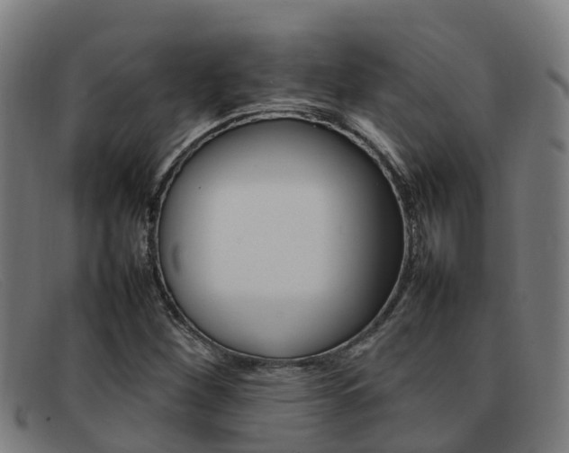 X0000092071260200709121019