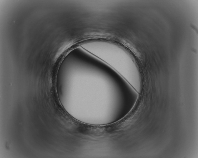 X0000092071261200709121019