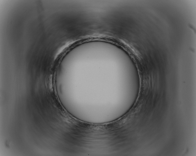 X0000092071262200709121019