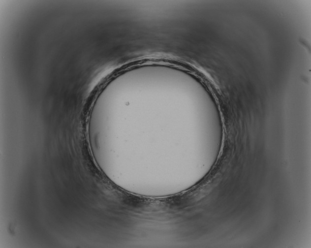 X0000092071263200709121019