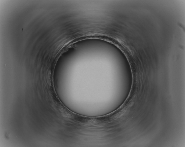 X0000092071265200709121019