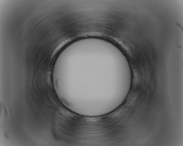X0000092071266200709121019