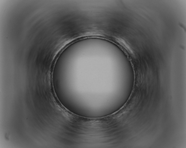 X0000092071268200709121019