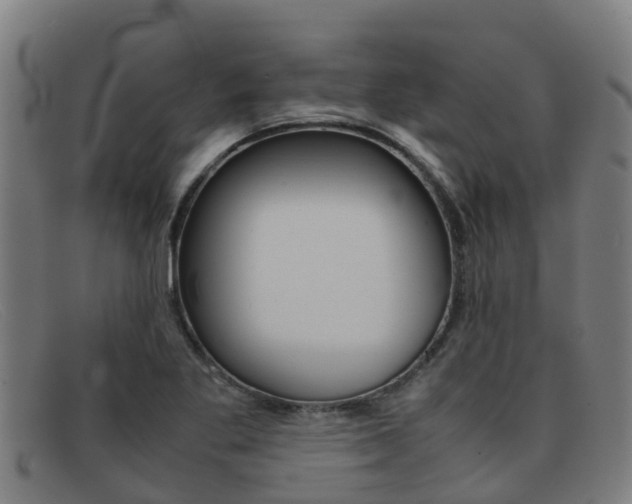 X0000092071269200709121019