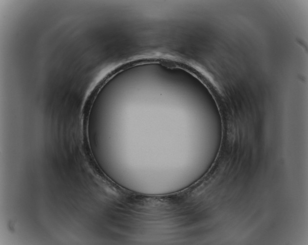 X0000092071270200709121019
