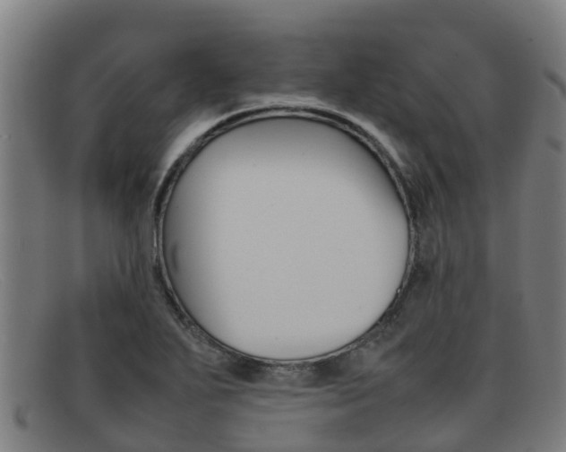 X0000092071271200709121019