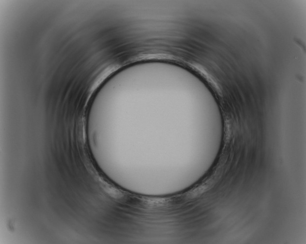 X0000092071274200709121019