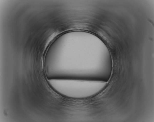 X0000092071275200709121018