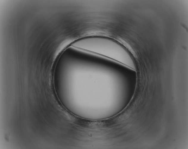 X0000092071277200709121018