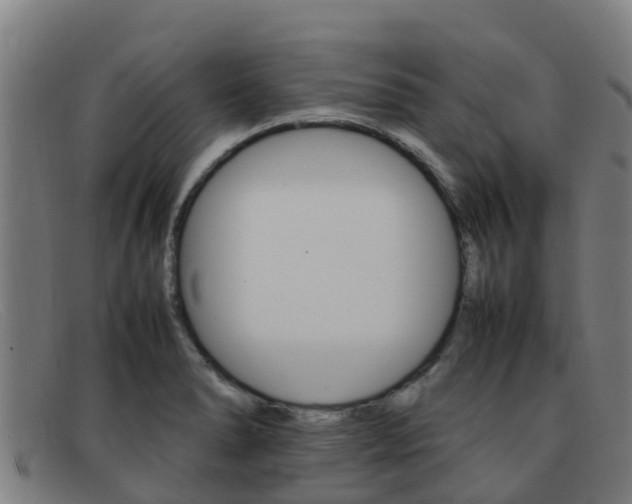 X0000092071278200709121018