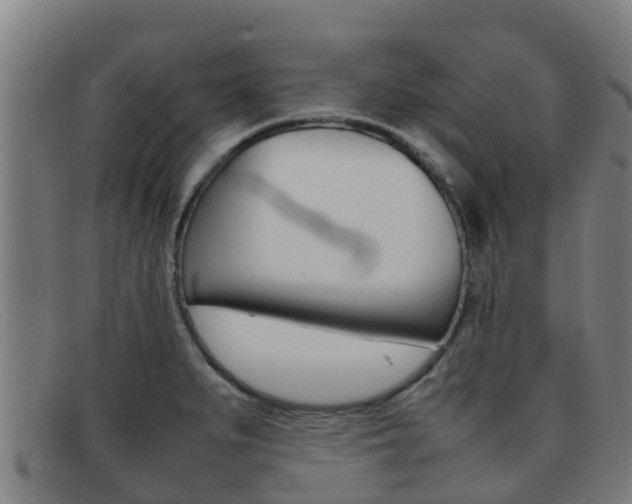 X0000092071279200709121018