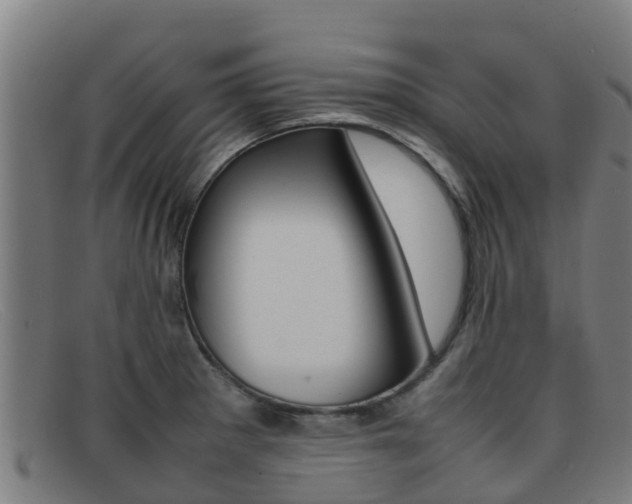 X0000092071281200709121018