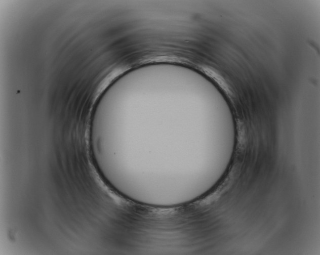 X0000092071282200709121018