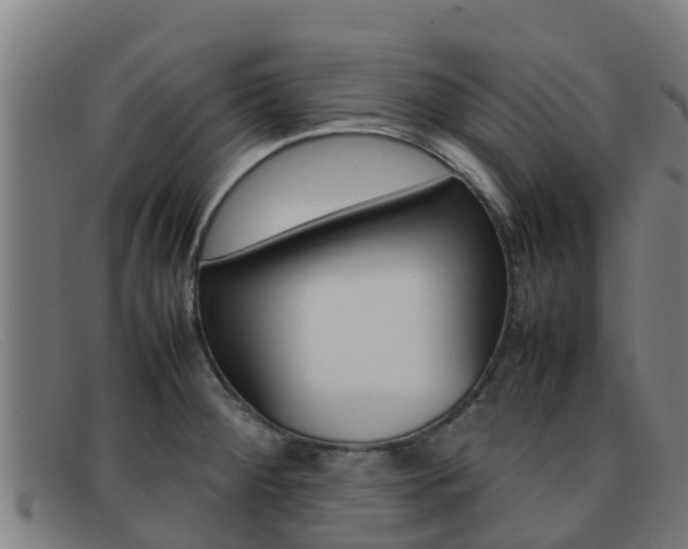 X0000092071284200709121018