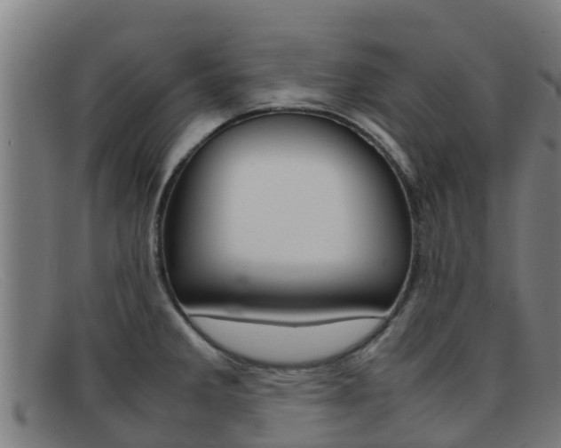 X0000092071285200709121018