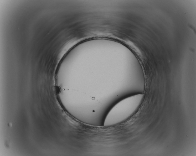 X0000092071287200709121018