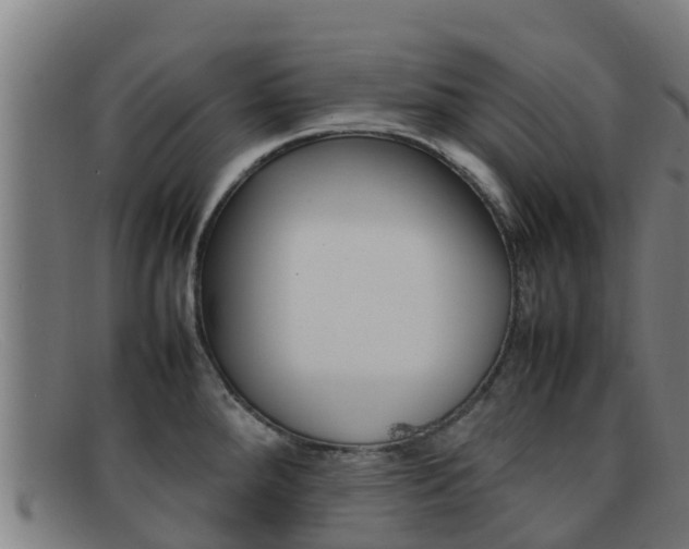 X0000092071288200709121018