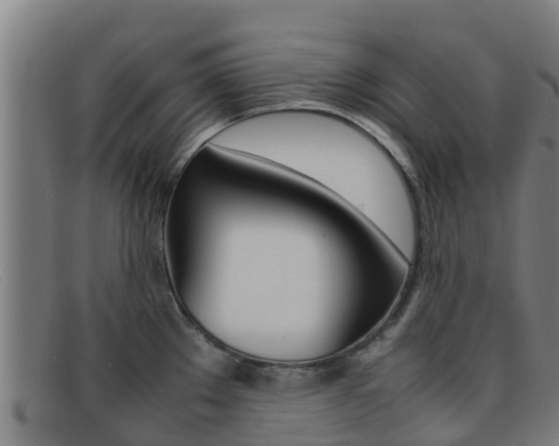 X0000092071289200709121018