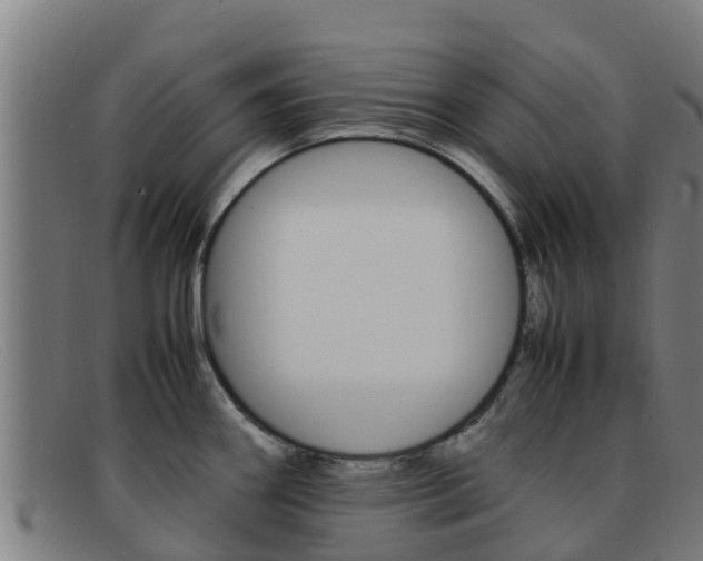 X0000092071290200709121018