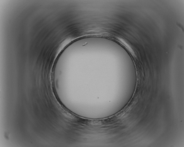 X0000092071291200709121018