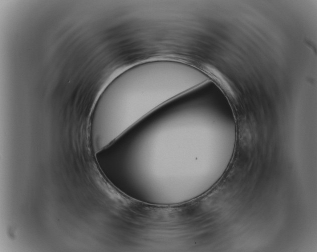 X0000092071292200709121018