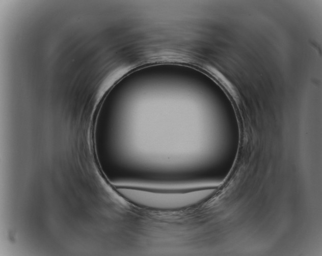 X0000092071293200709121018