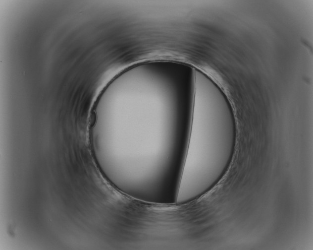 X0000092071296200709121018