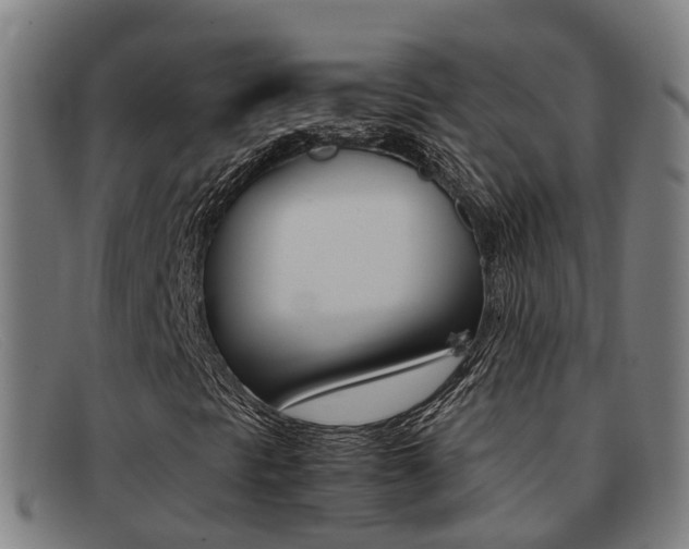X0000092071297200709121018