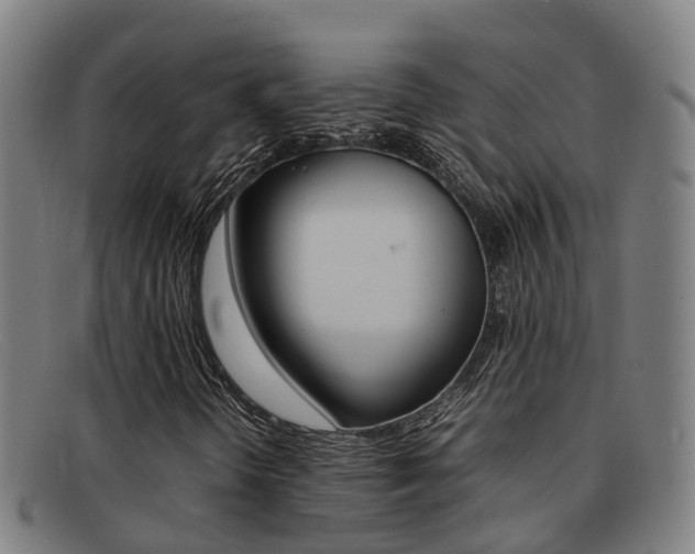 X0000092071298200709121018