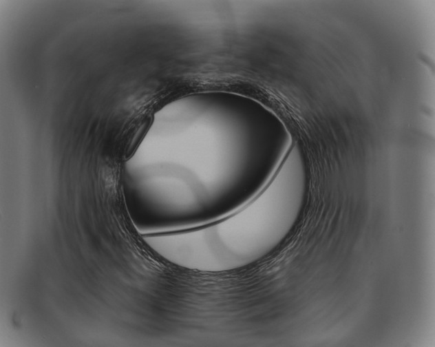 X0000092071300200709121018
