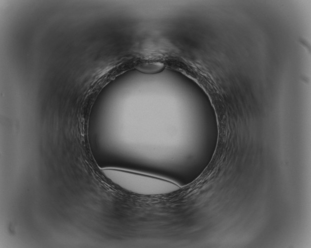 X0000092071301200709121018
