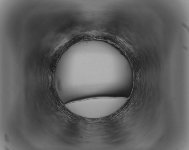 X0000092071302200709121018