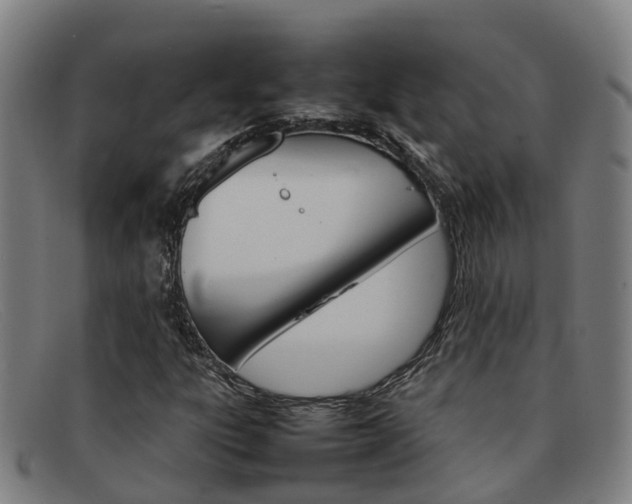 X0000092071303200709121018