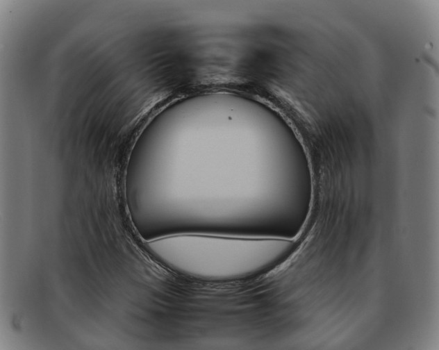 X0000092071305200709121018