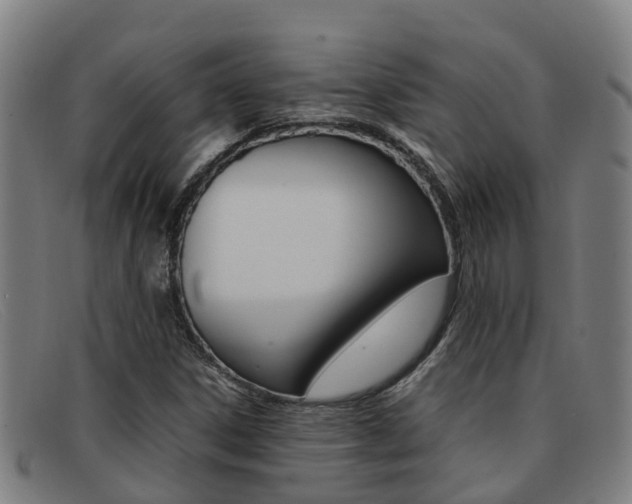 X0000092071306200709121018