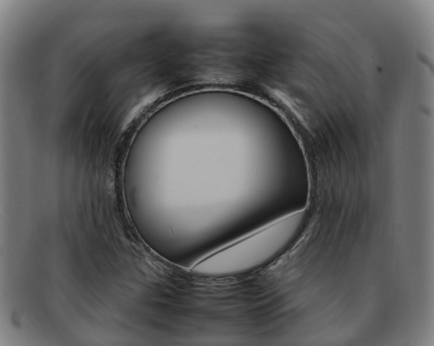X0000092071307200709121018