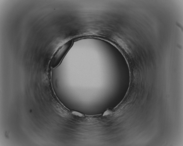 X0000092071308200709121018