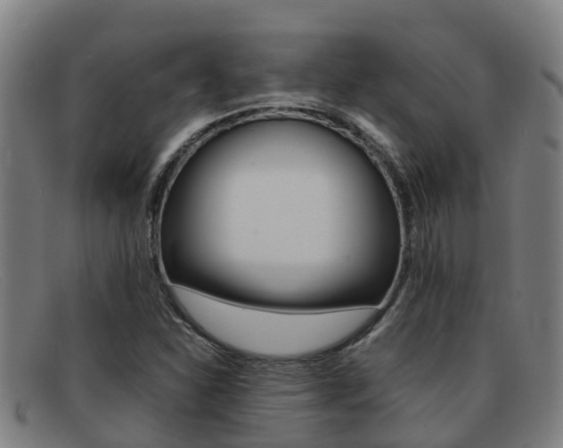 X0000092071310200709121018