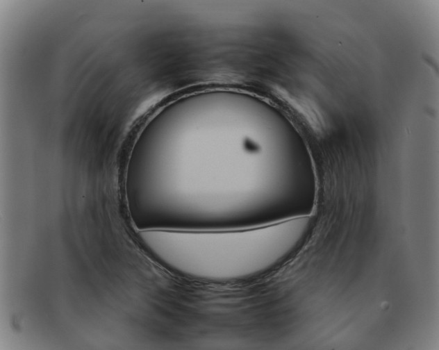 X0000092071315200709121018
