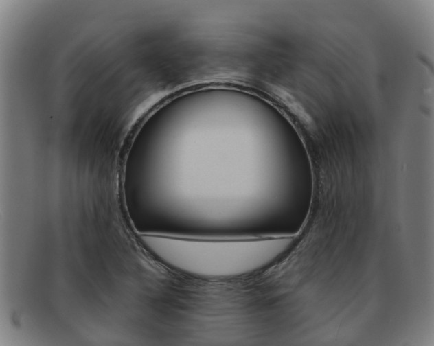 X0000092071316200709121018