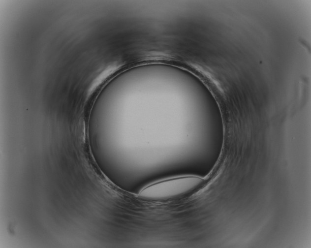 X0000092071317200709121018