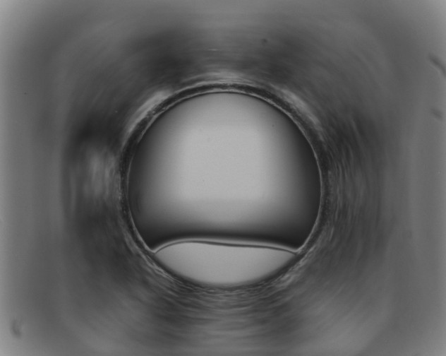 X0000092071318200709121018