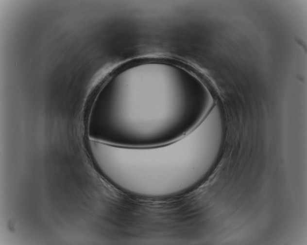 X0000092071319200709121018