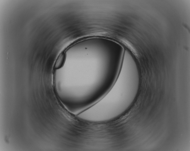 X0000092071324200709121018
