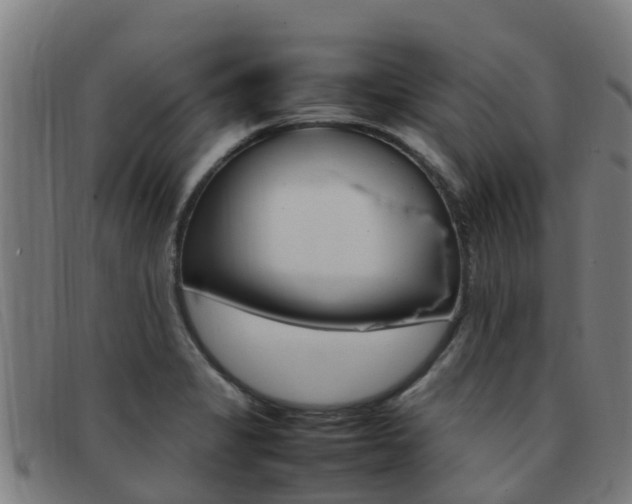 X0000092071325200709121018
